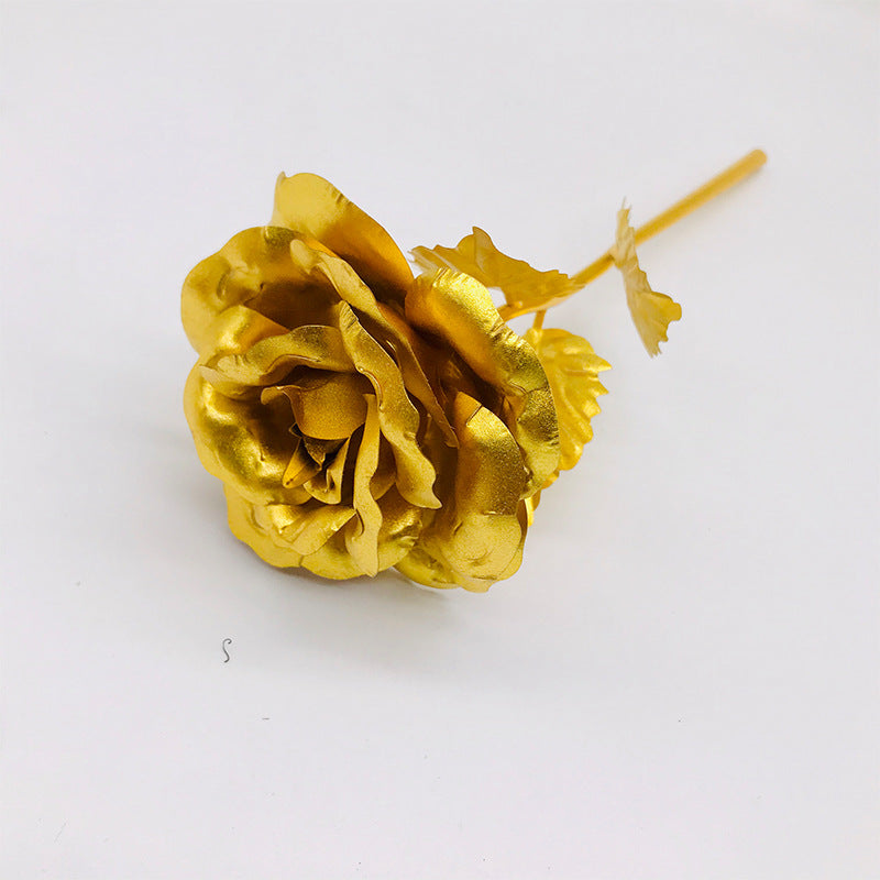 1654725347923 - TriLuxora