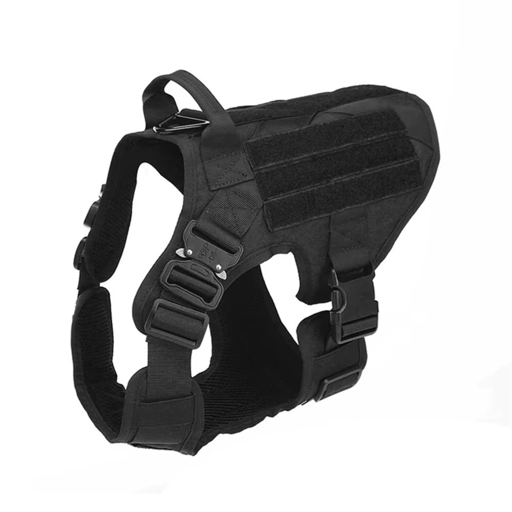 bcd9923d-2608-4e0a-9326-098c35775ca1 - TriLuxora