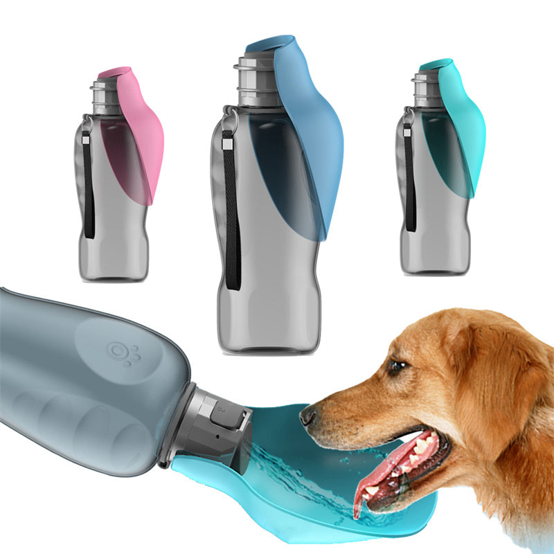 dabbdcfd-c022-46fd-b729-721b071a26a3 - TriLuxora
